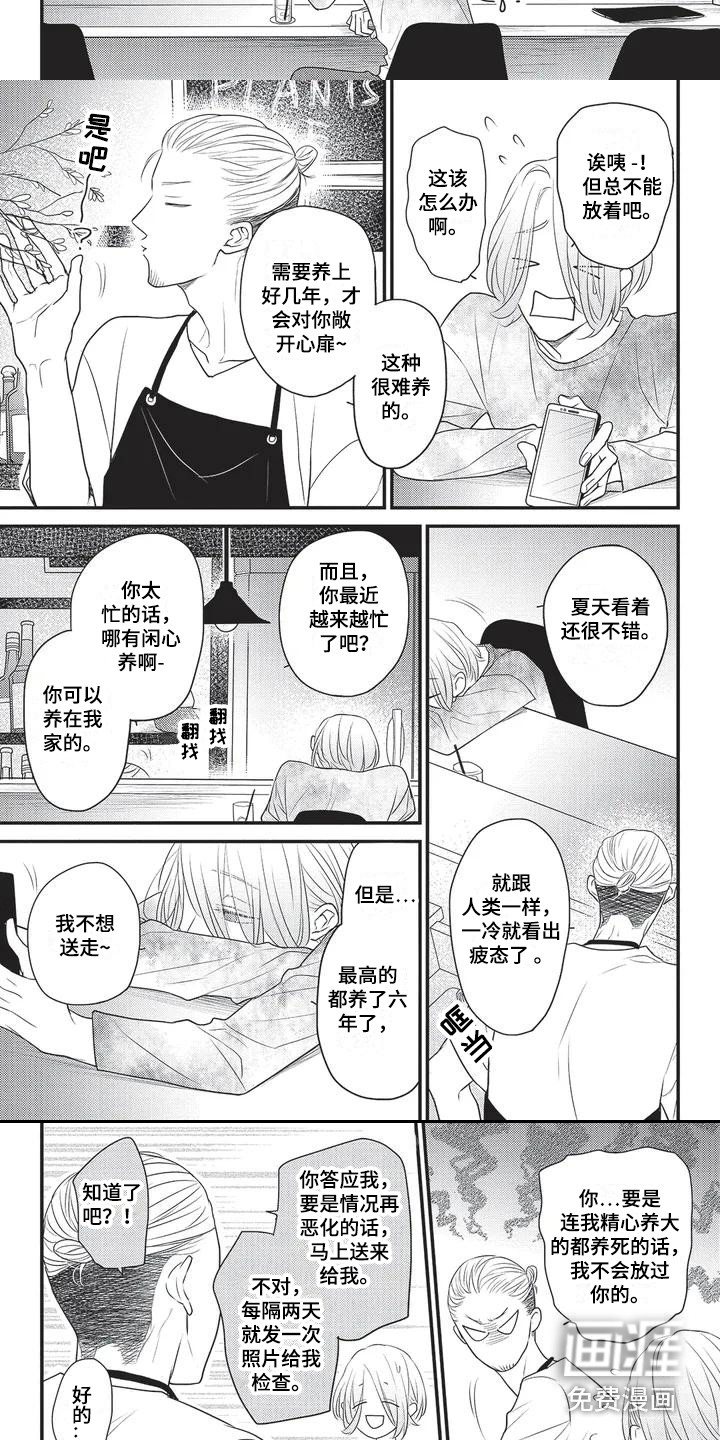 第5话5