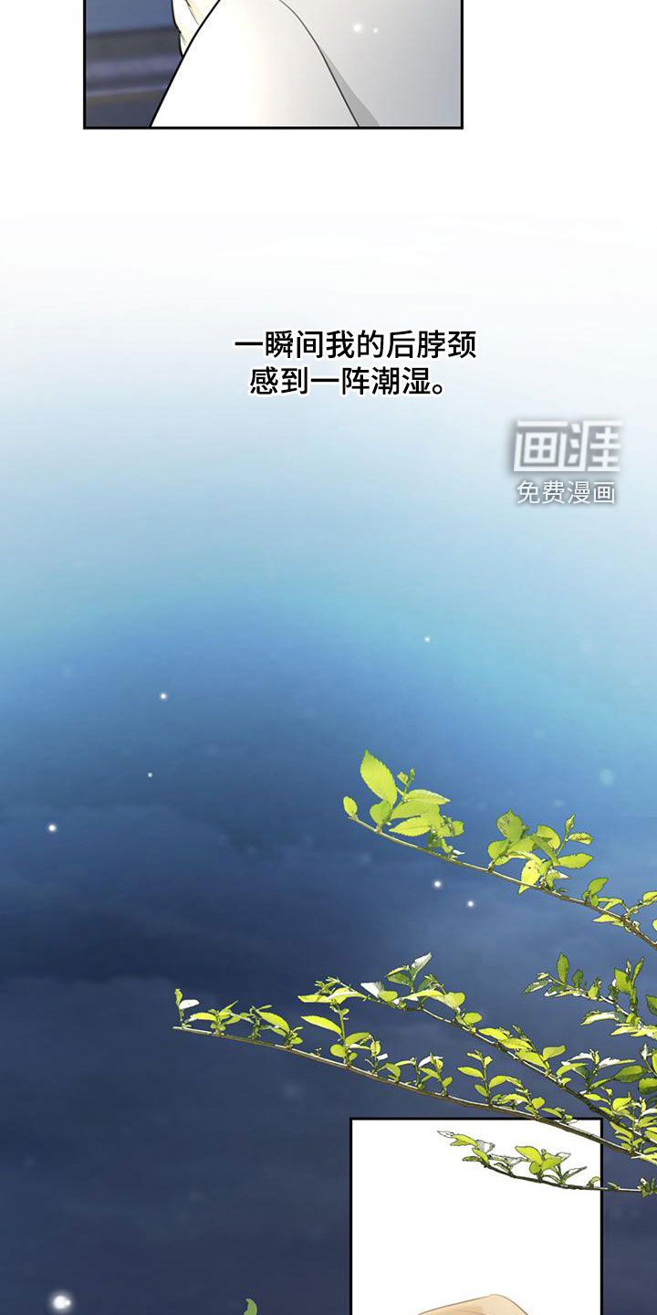 第28话28
