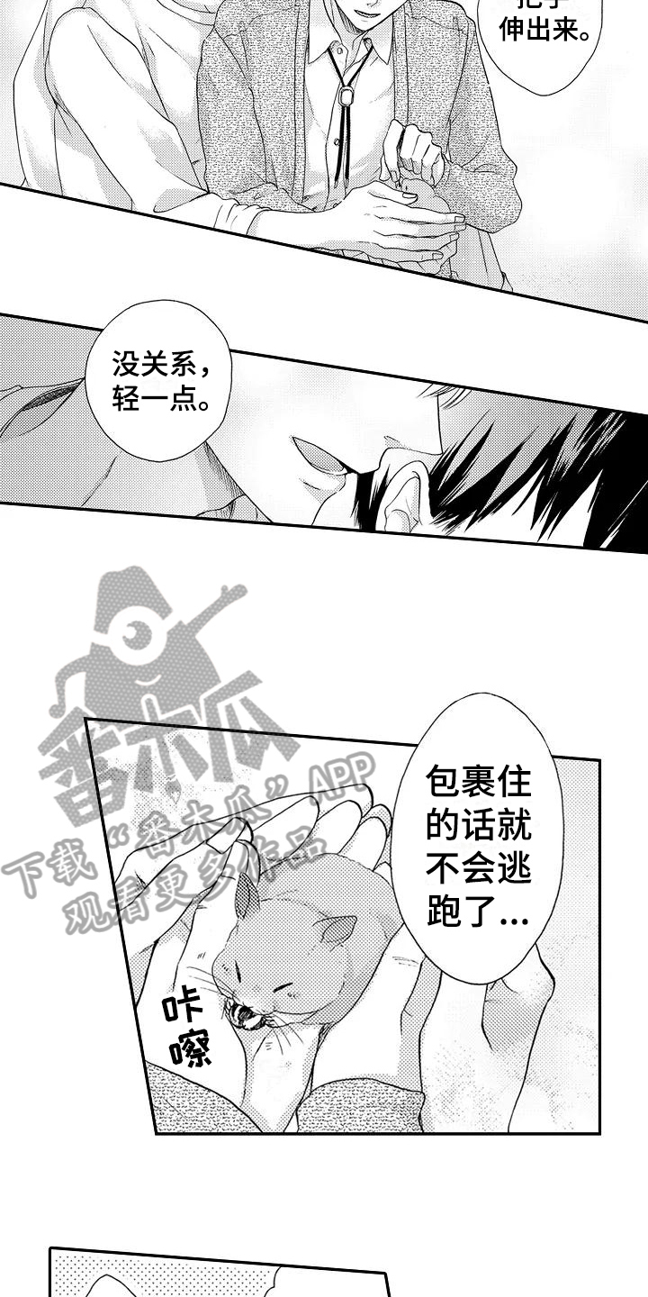 第10话9