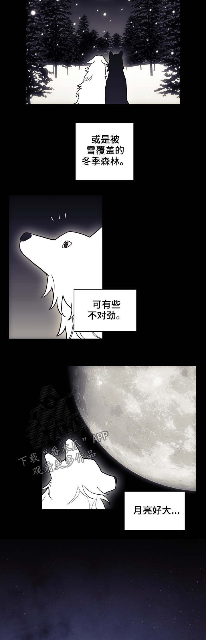 第99话6