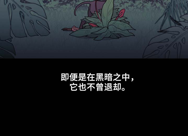 第97话11