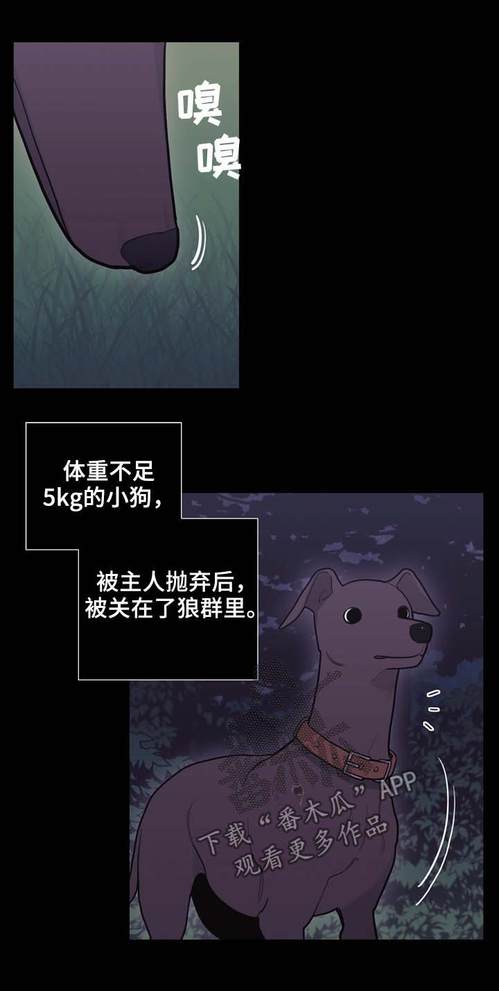 第97话8