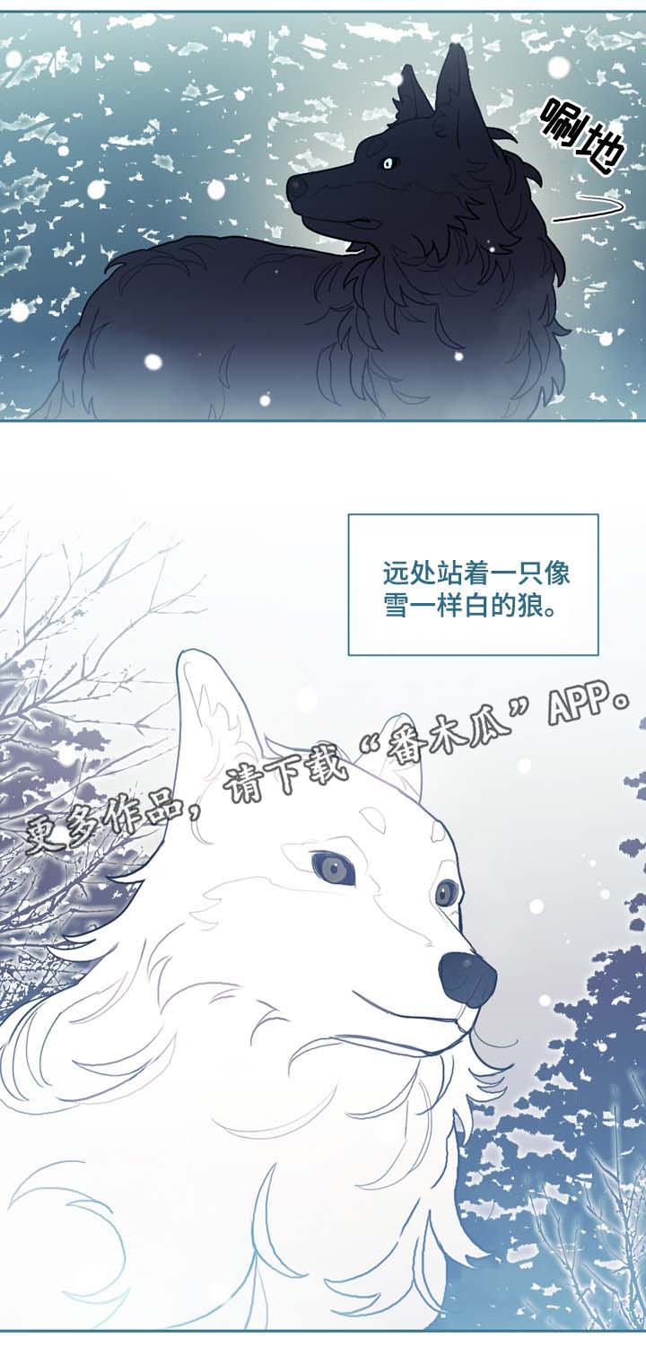 第48话17
