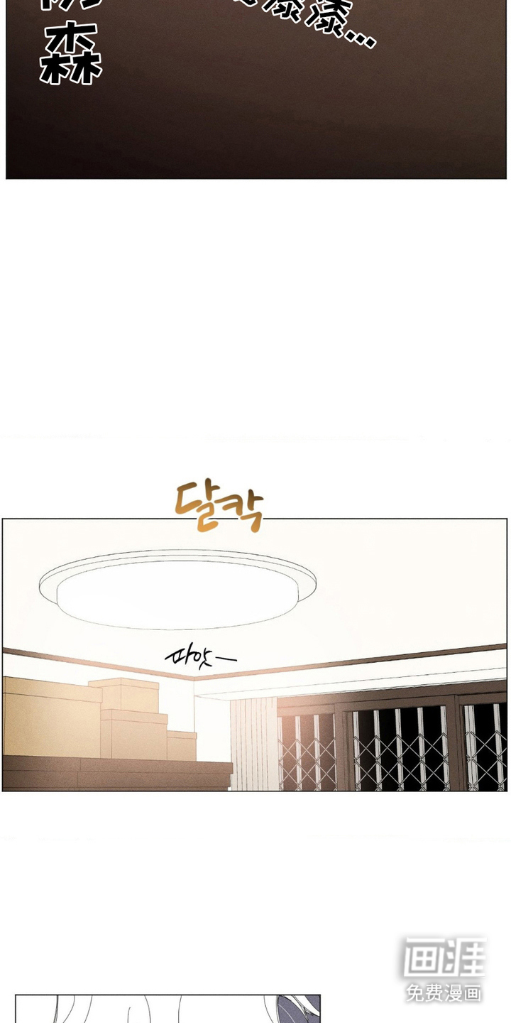 第5话11