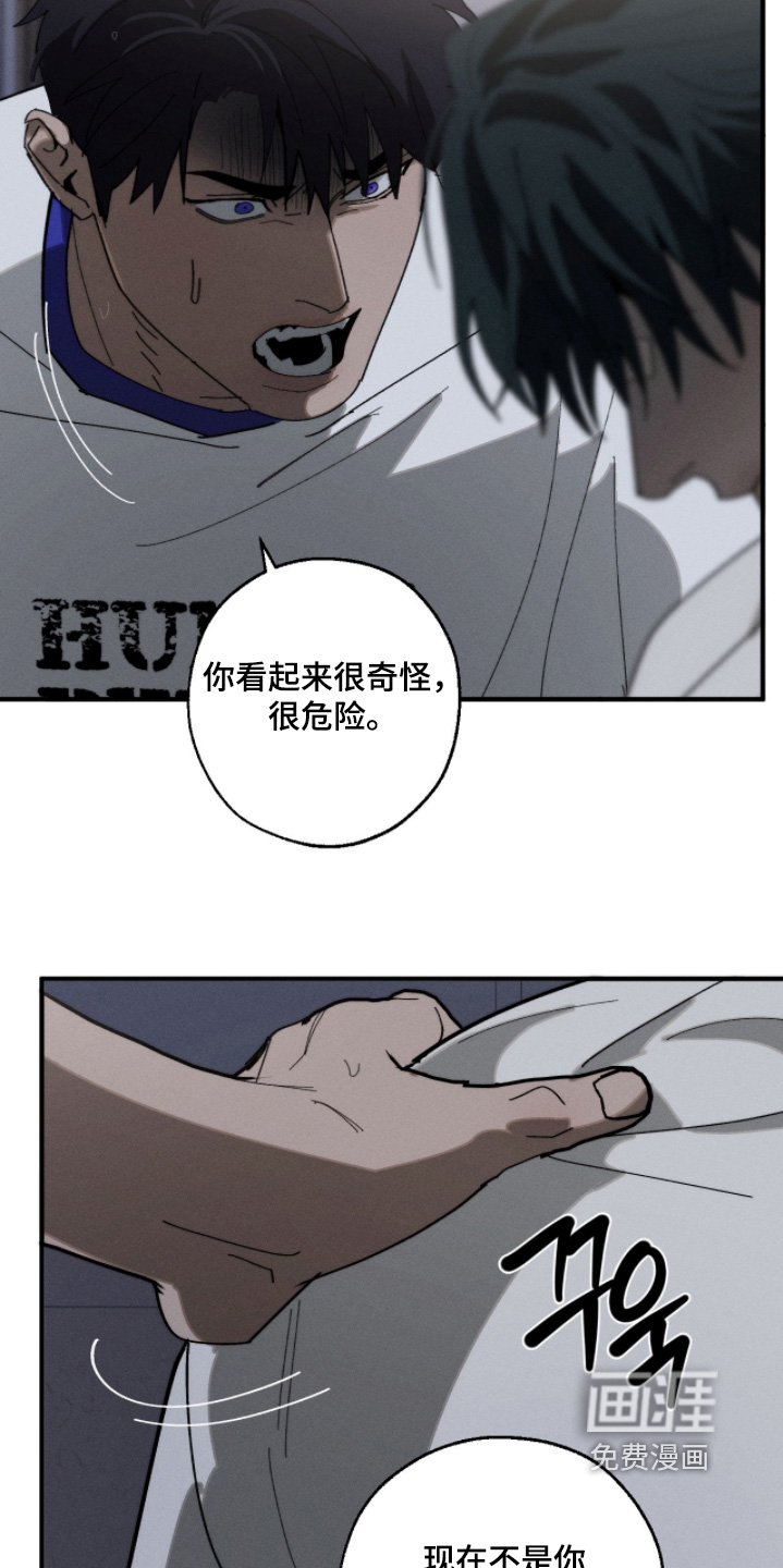 第43话17