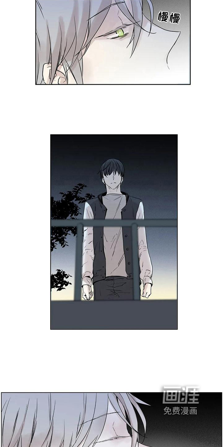 第11话9
