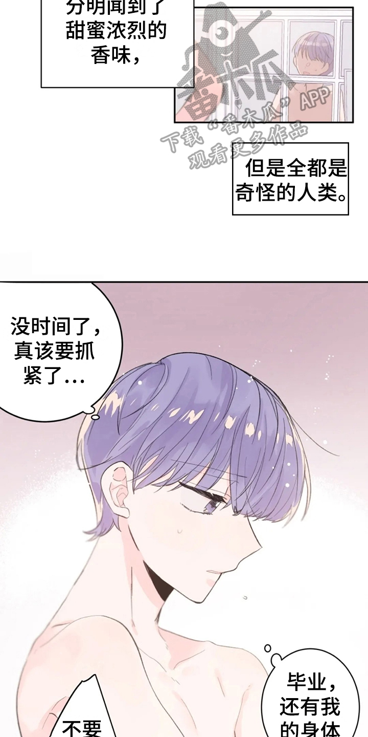第12话4