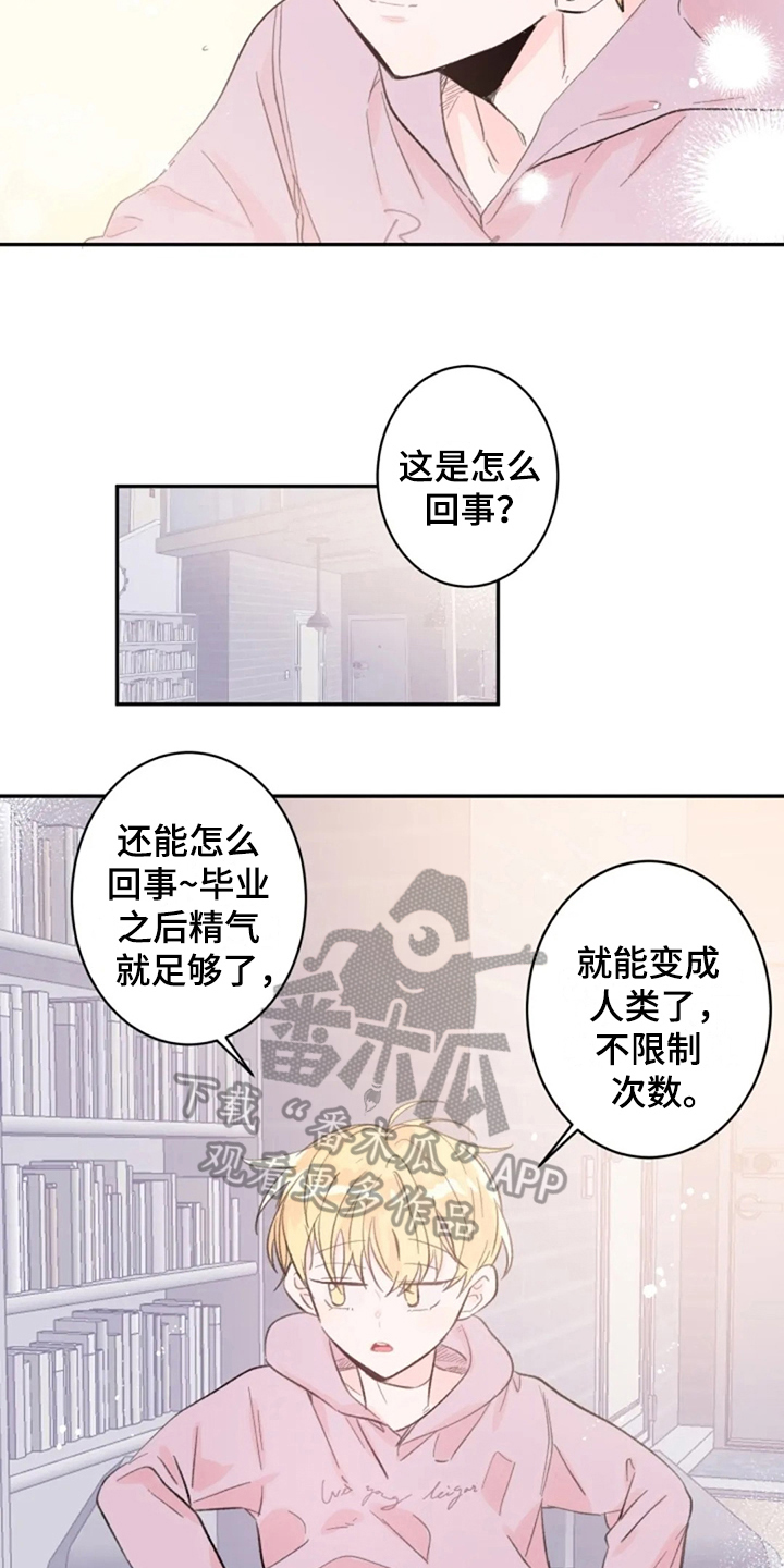 第10话7