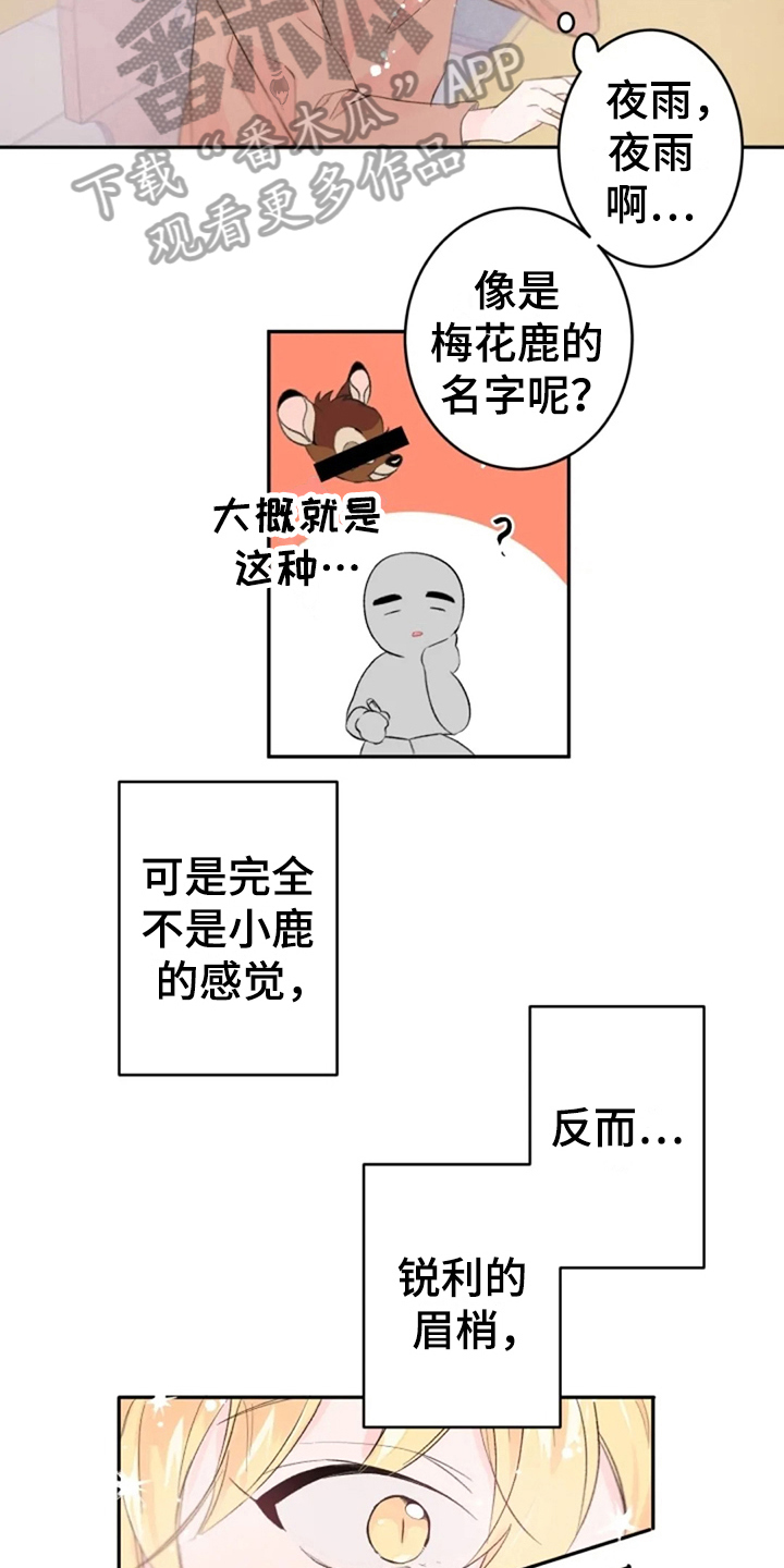 第5话8
