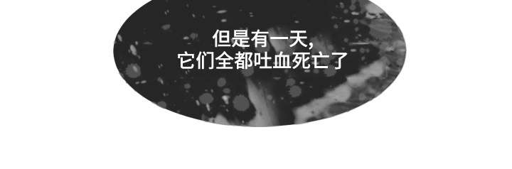 第35话12