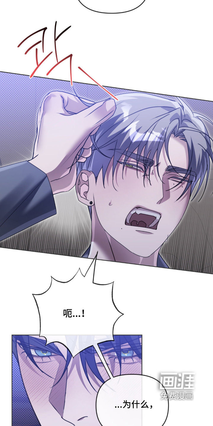 第24话4