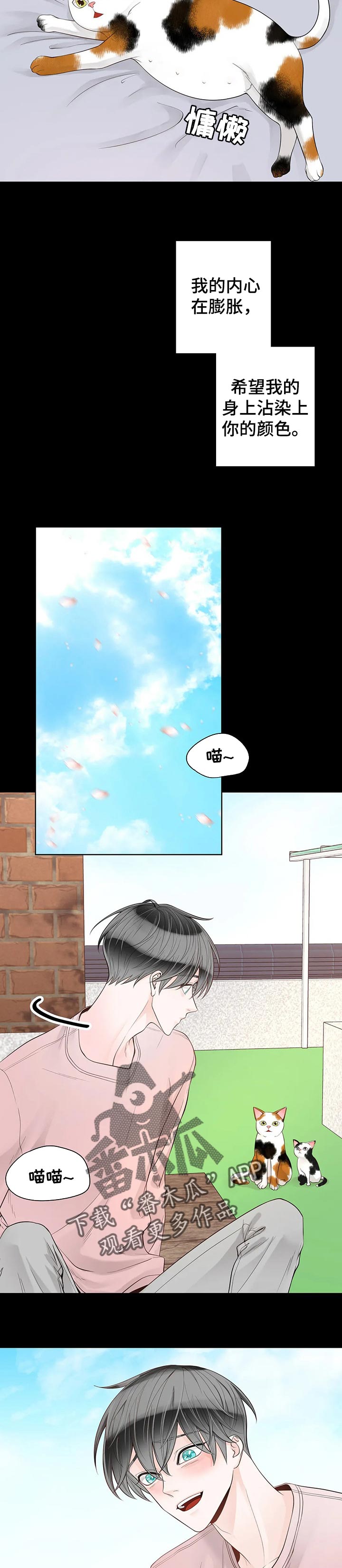 第81话4
