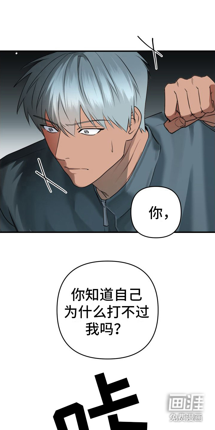 第13话12