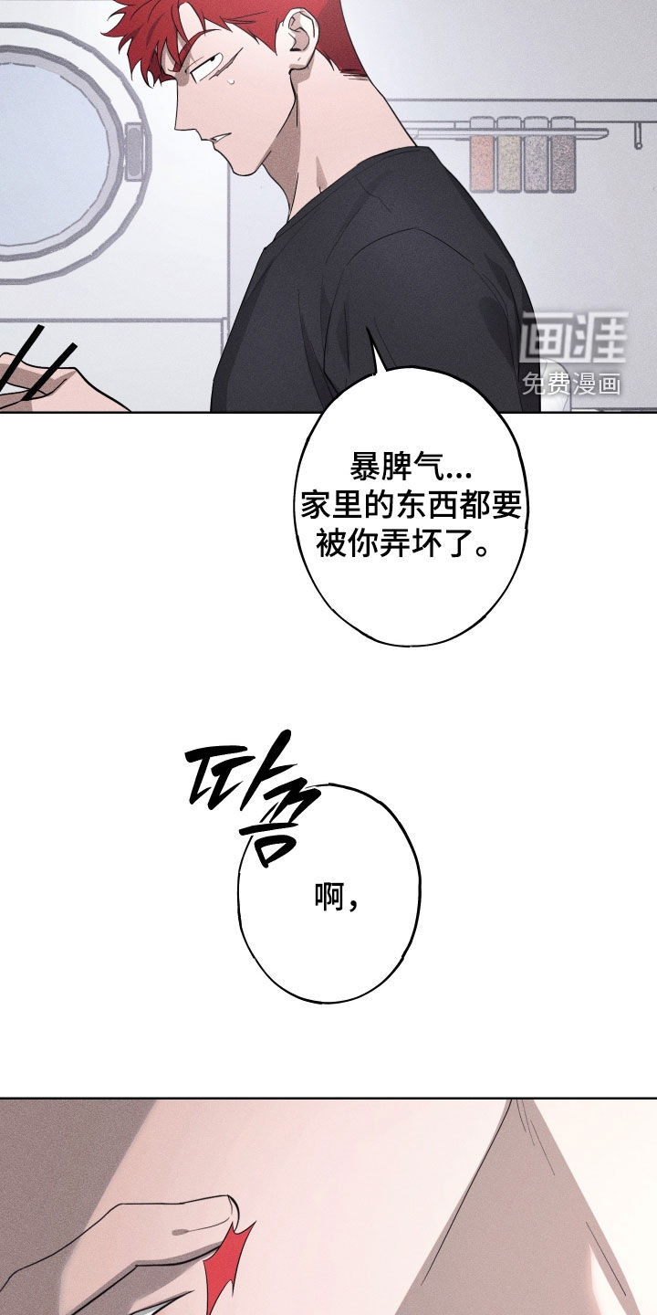 第22话21