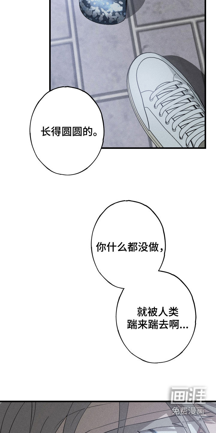 第20话14