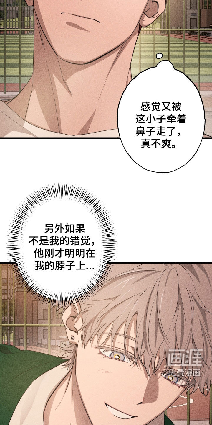 第11话16