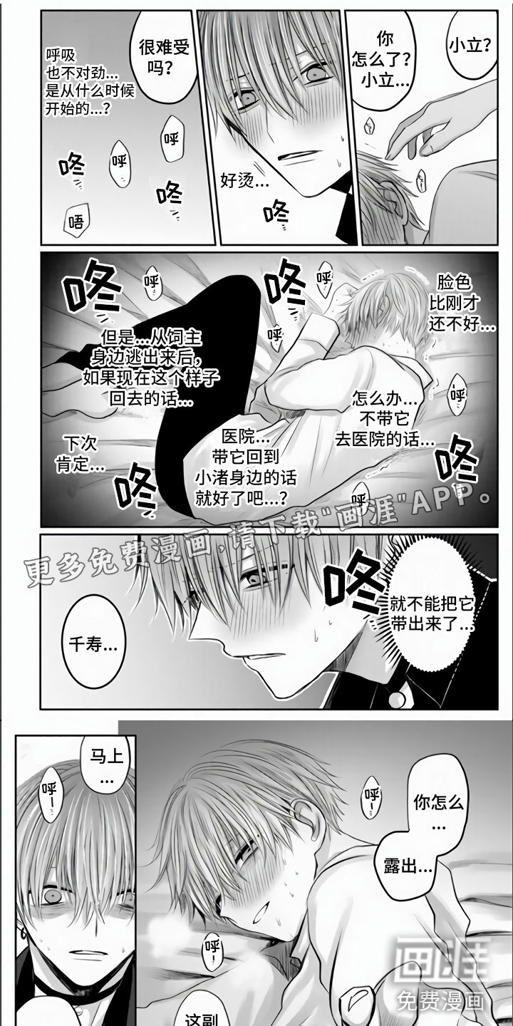 第31话0