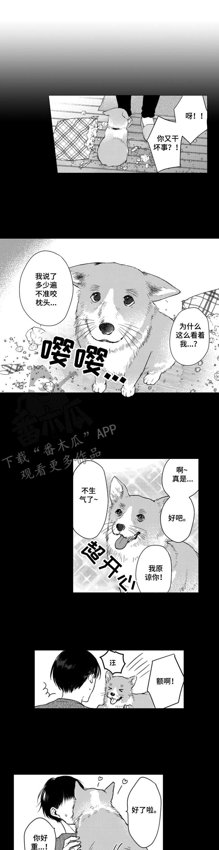第7话6