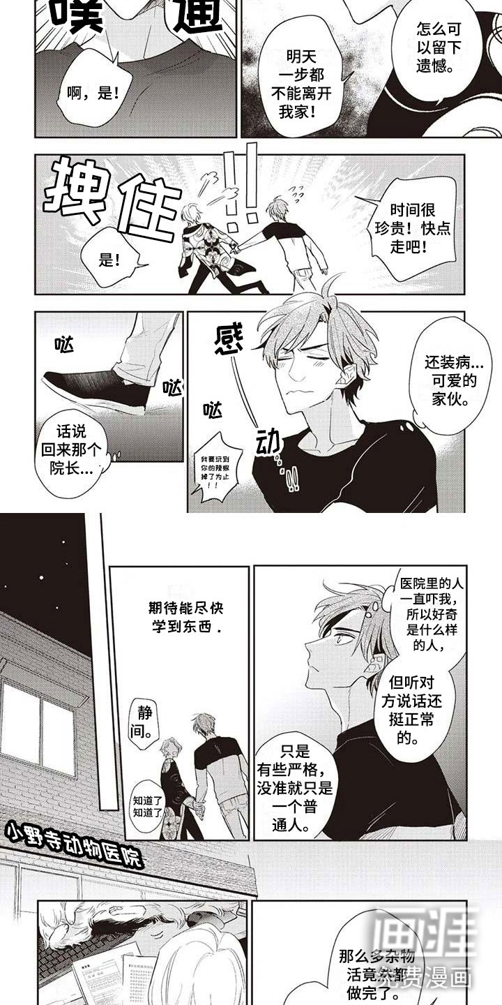 第11话6