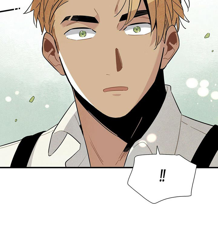 第61话17