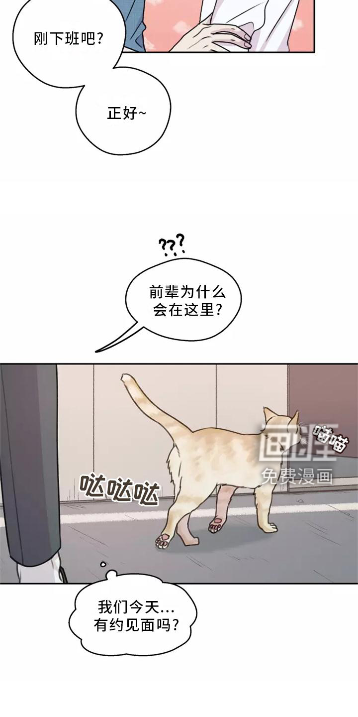 第47话6