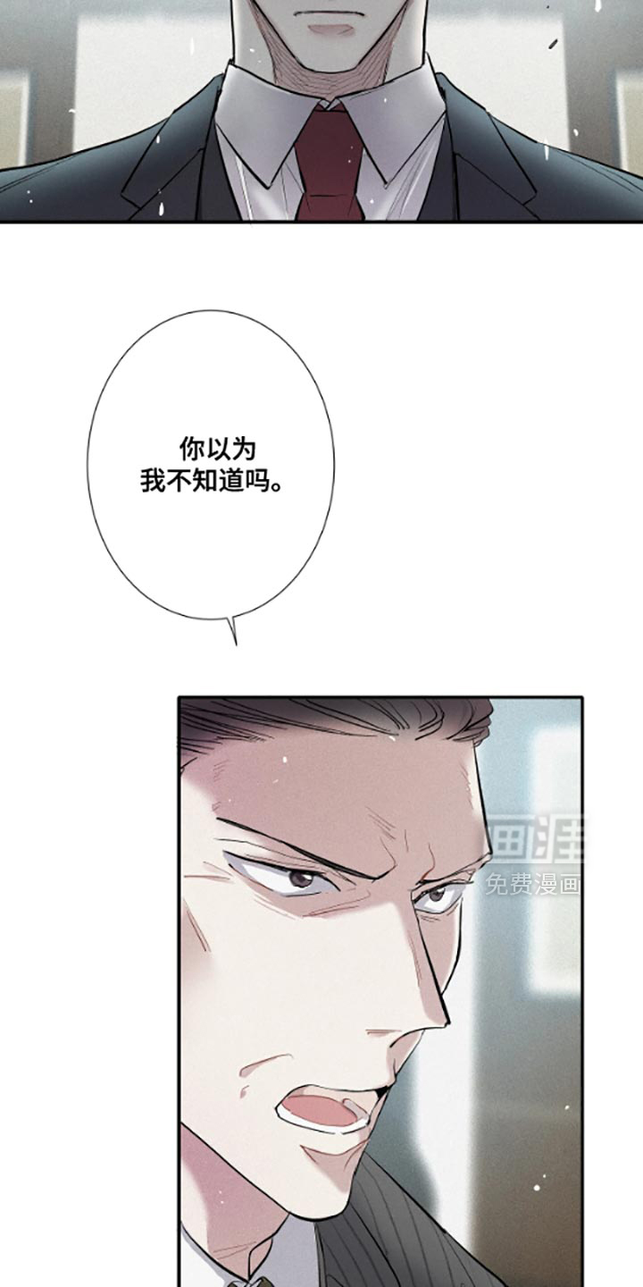 第53话19
