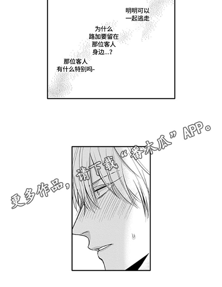 第11话12