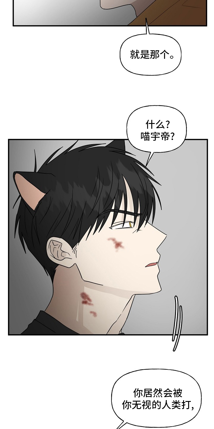 第33话14