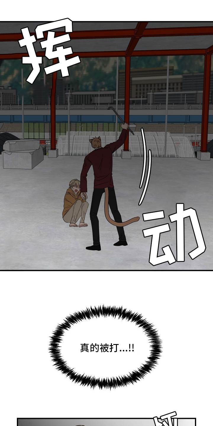 第32话6