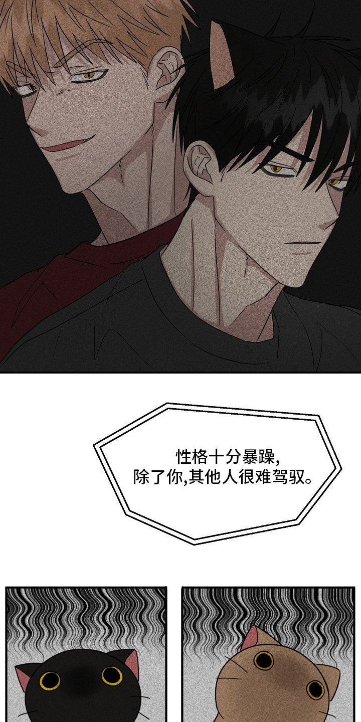 第31话8
