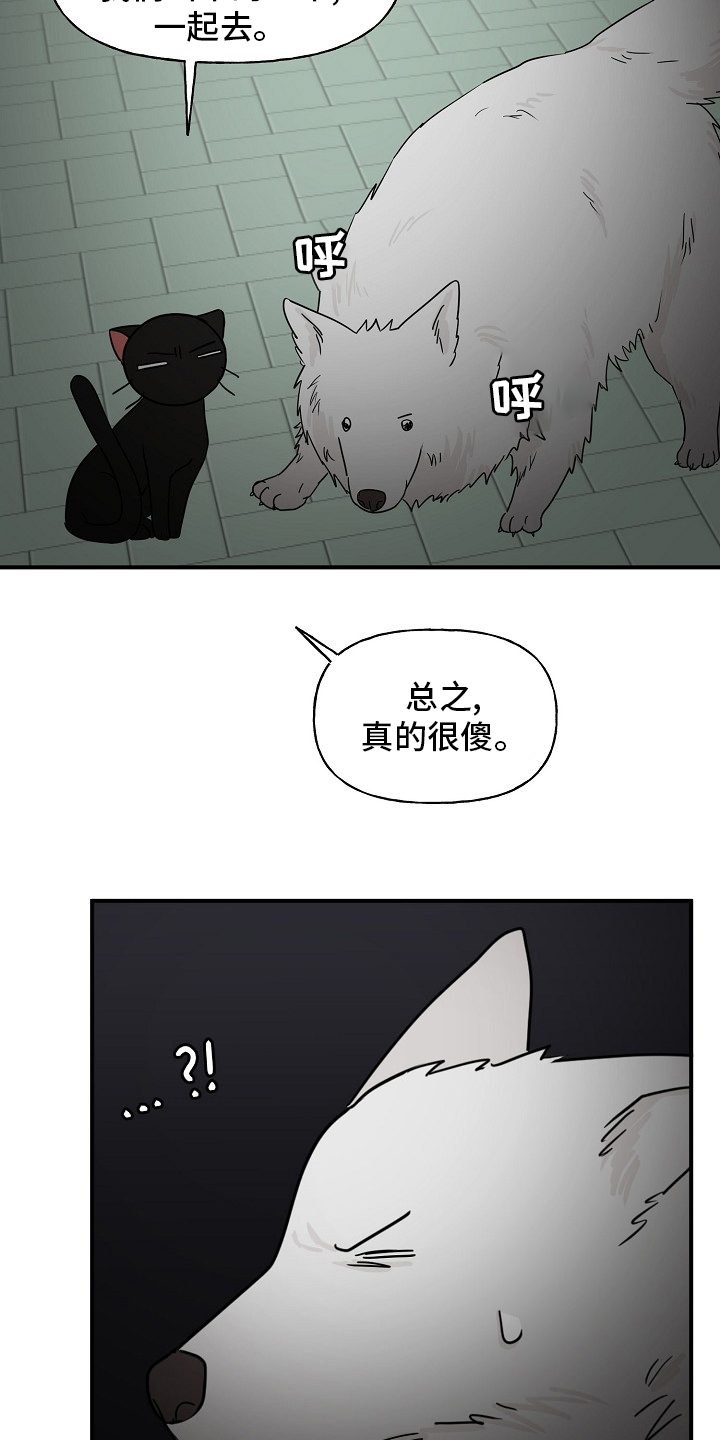第31话20
