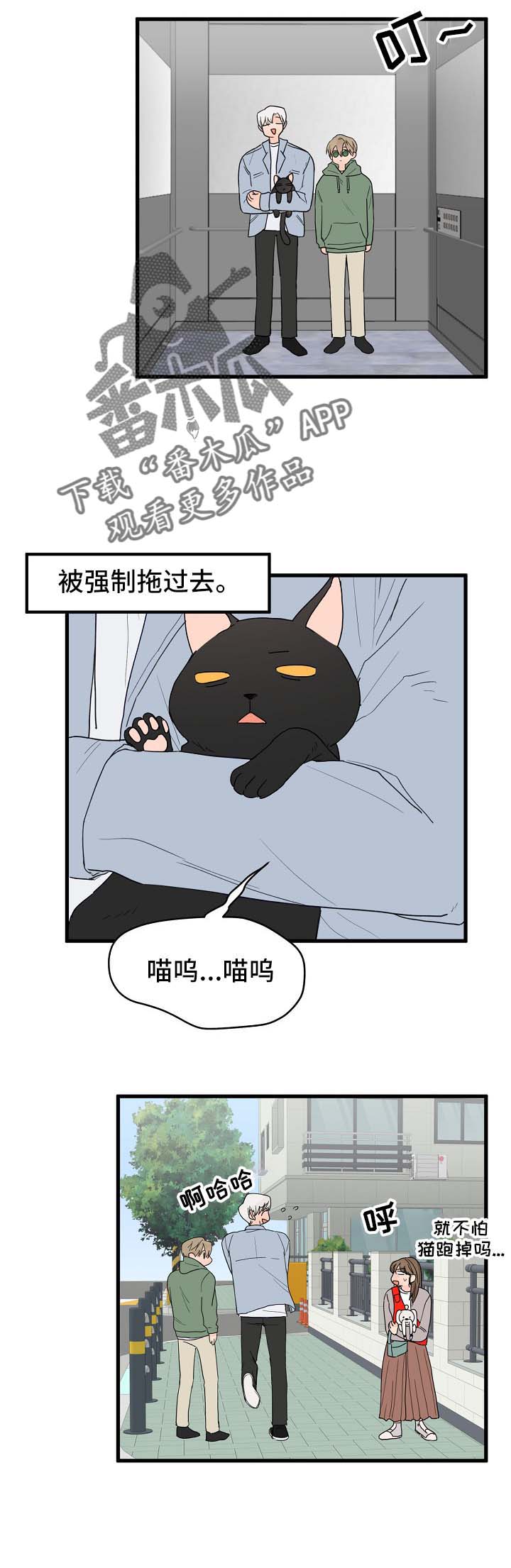 第13话8