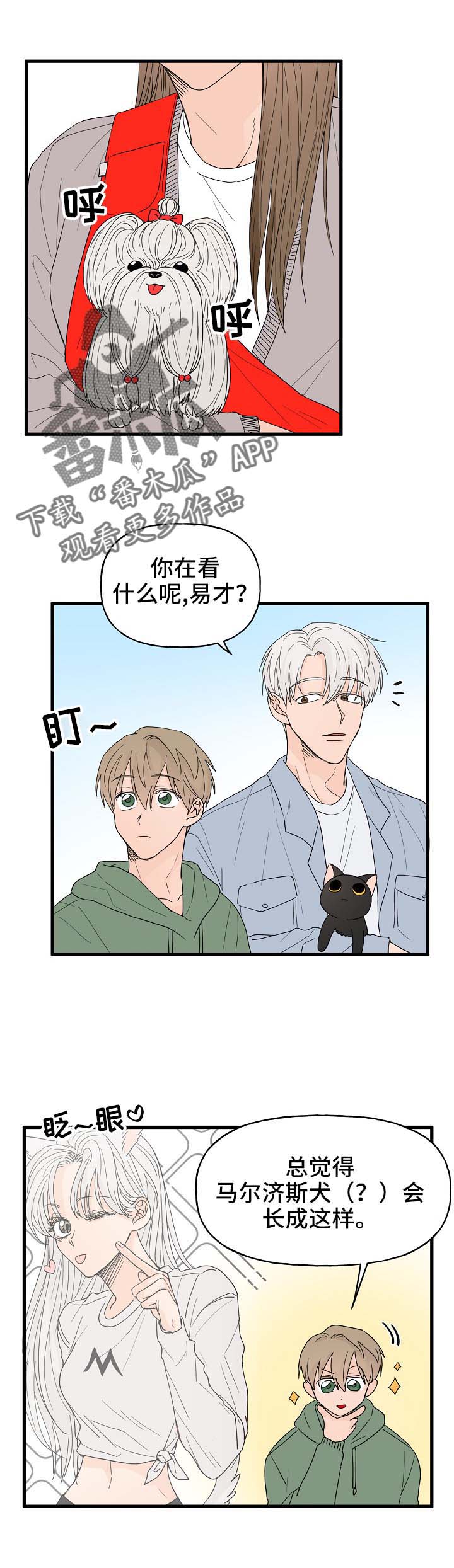 第13话9
