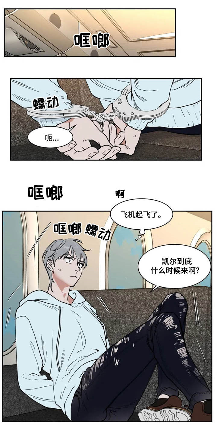 第117话0