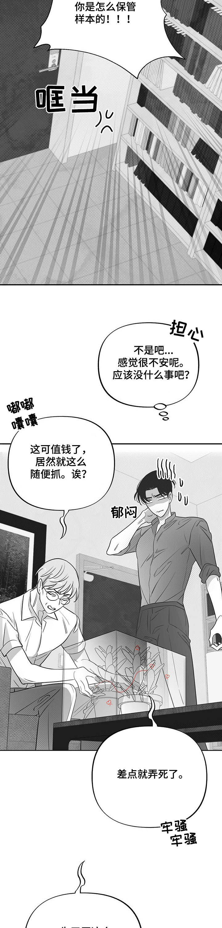 第33话12