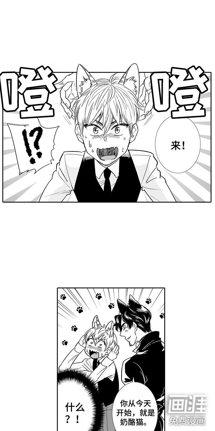 第6话6