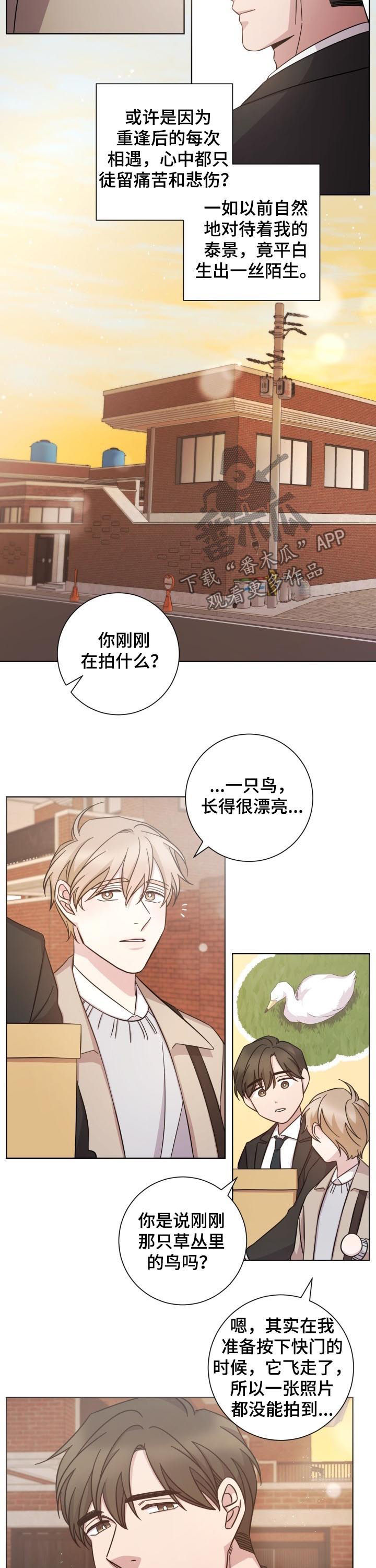 第72话6