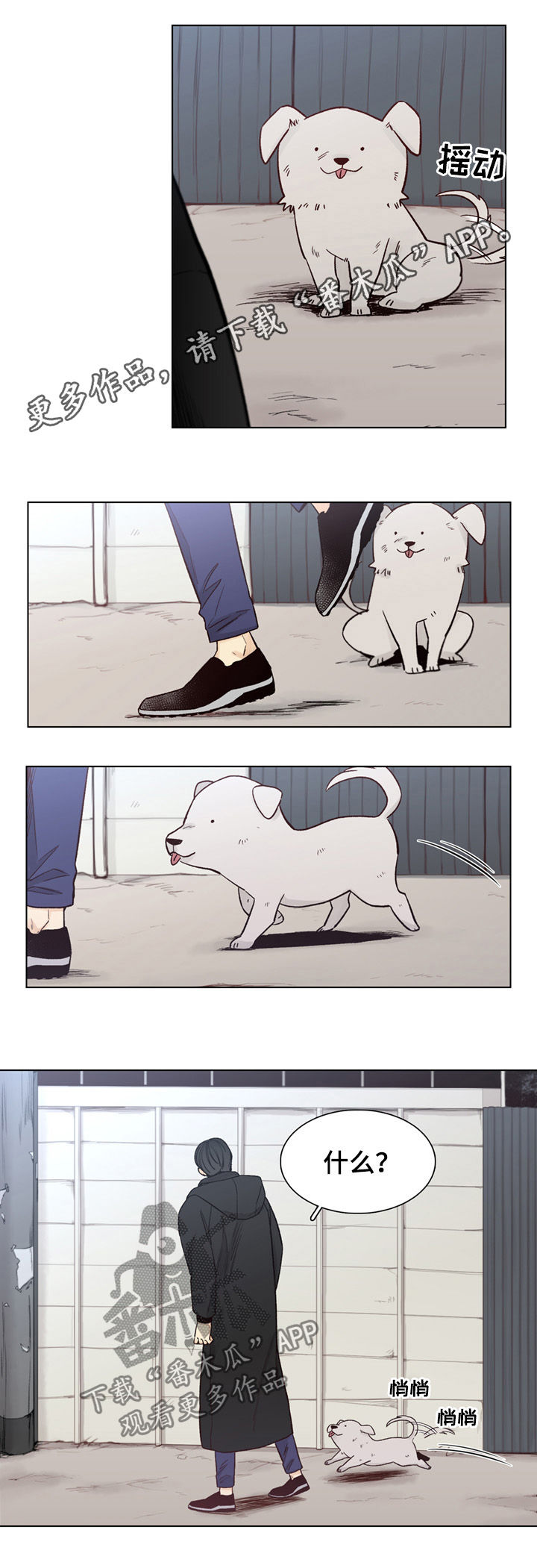 第64话0