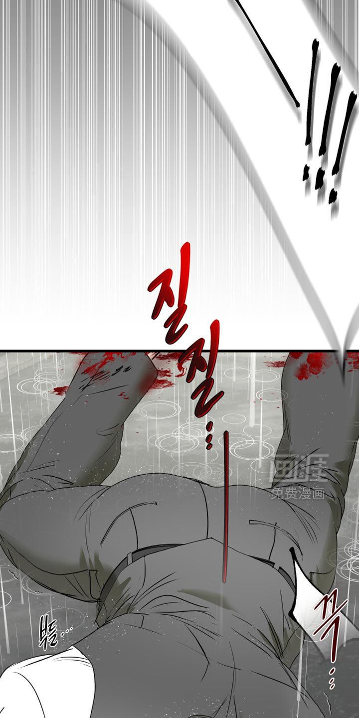 第53话31