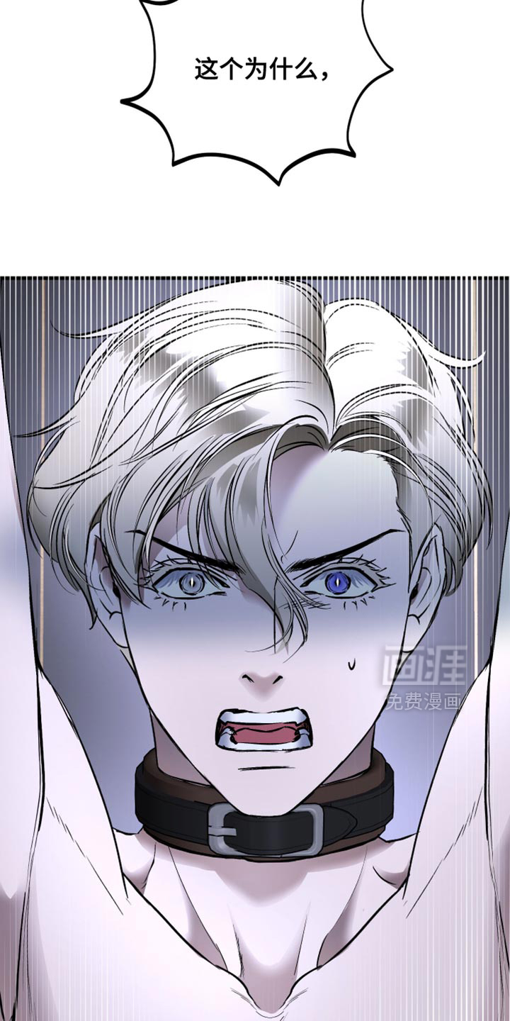 第31话24