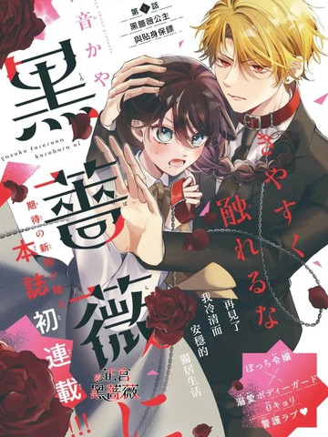 不可轻易触碰那黑蔷薇