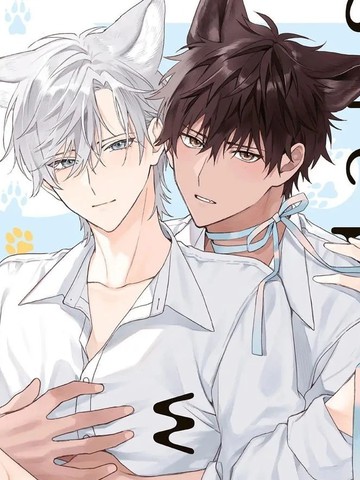 大狼狗永不言弃