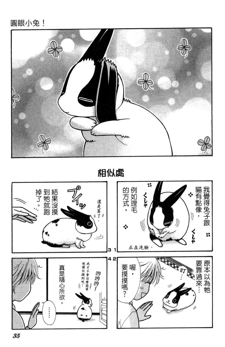 第1卷34