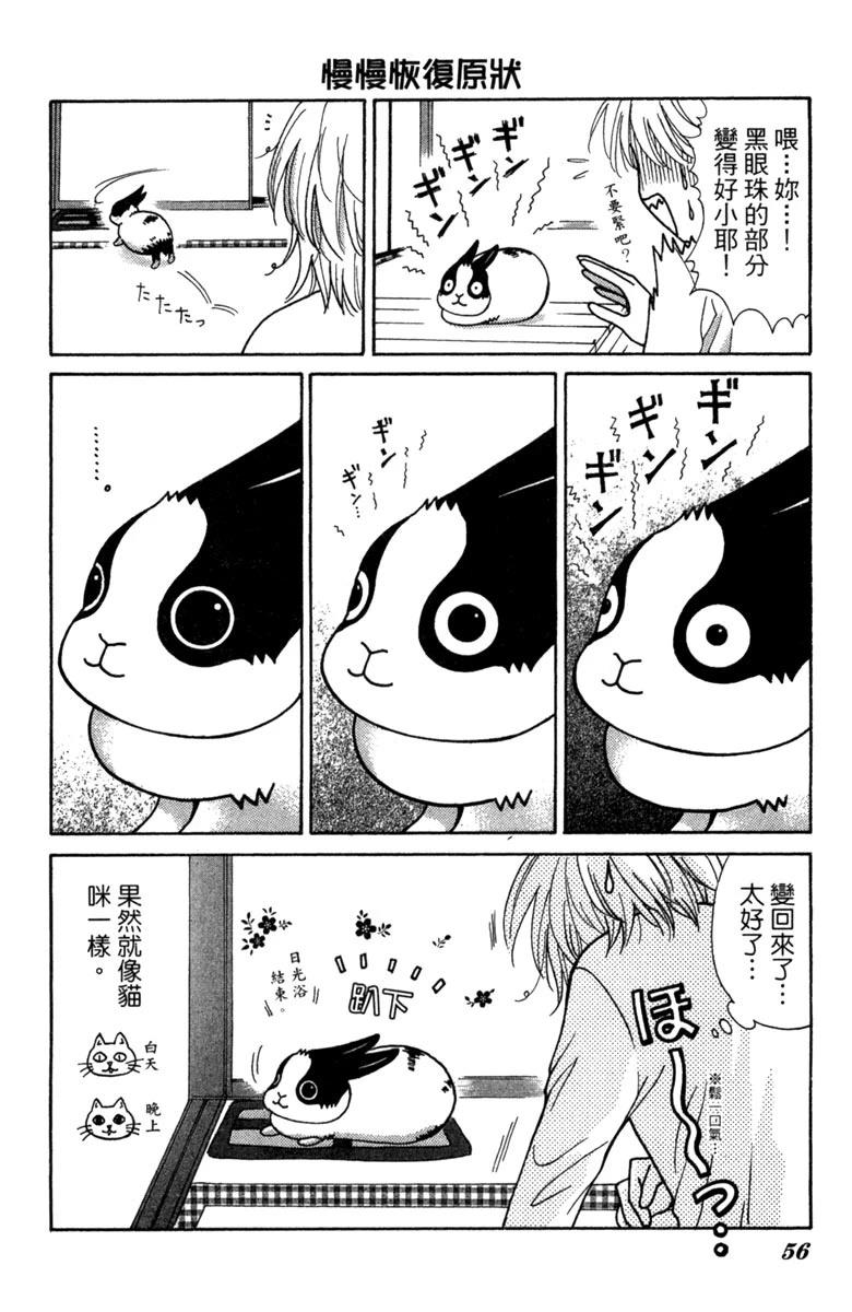 第1卷55