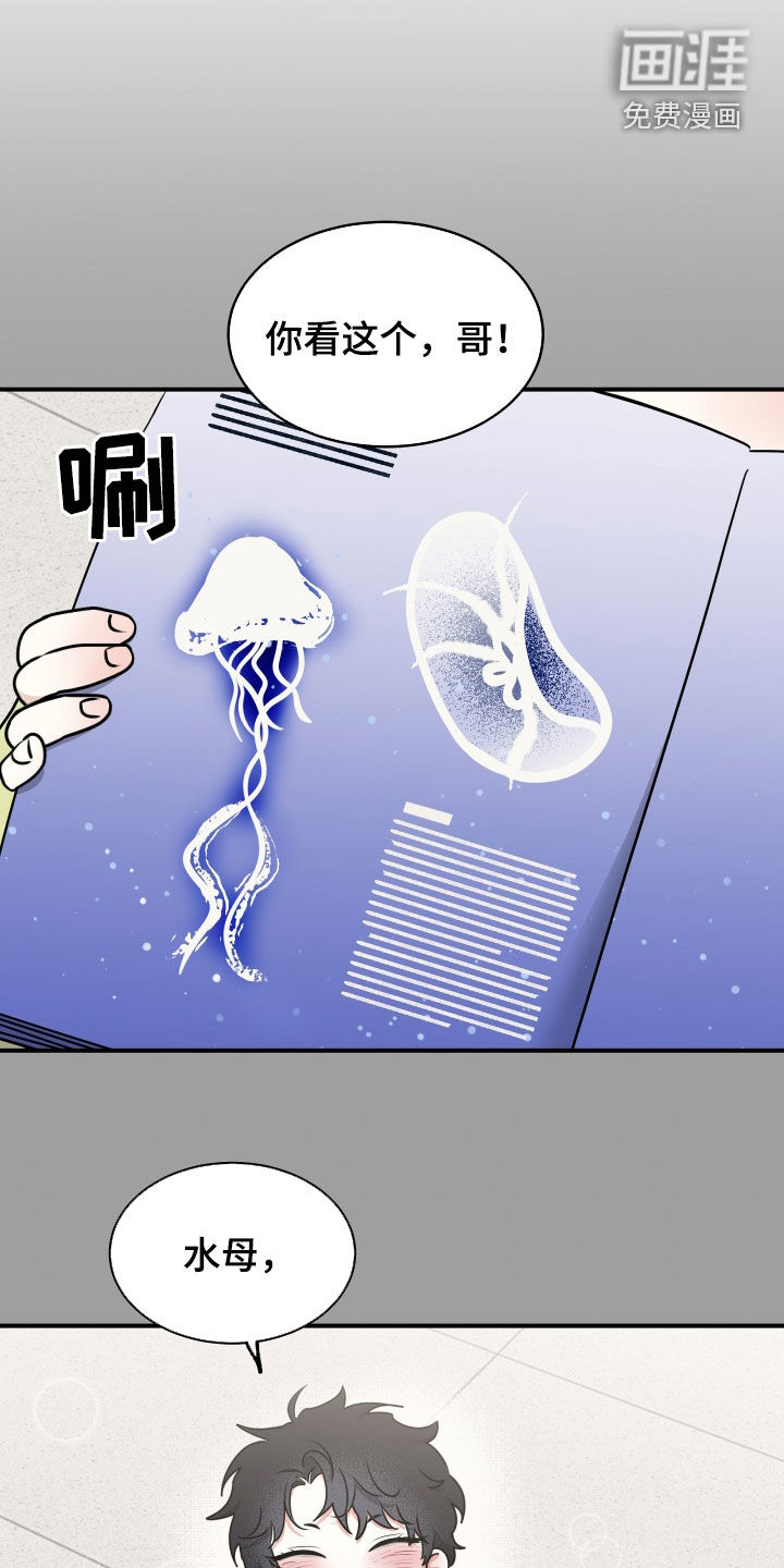 第260话21
