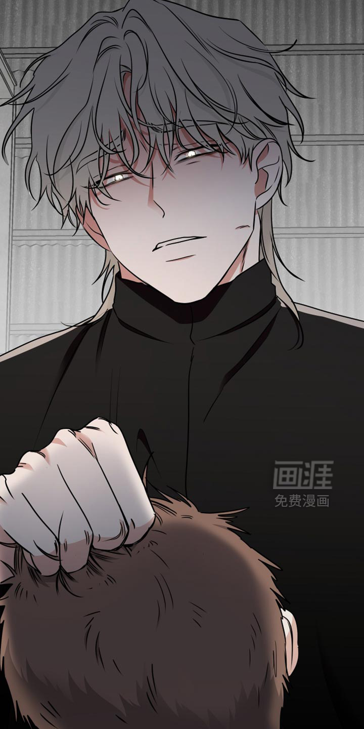 第248话12