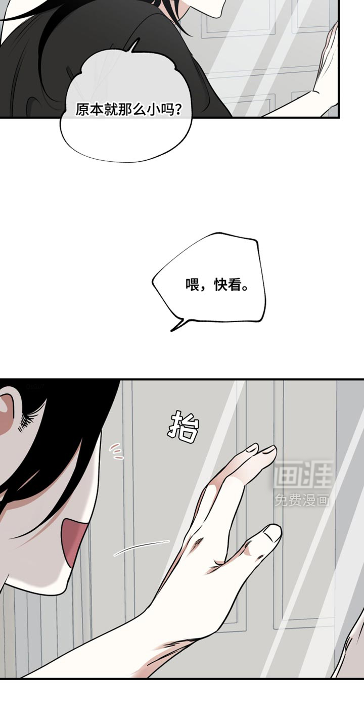 第243话13