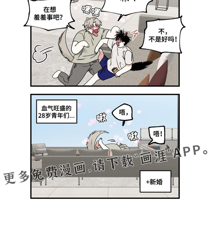 第242话24