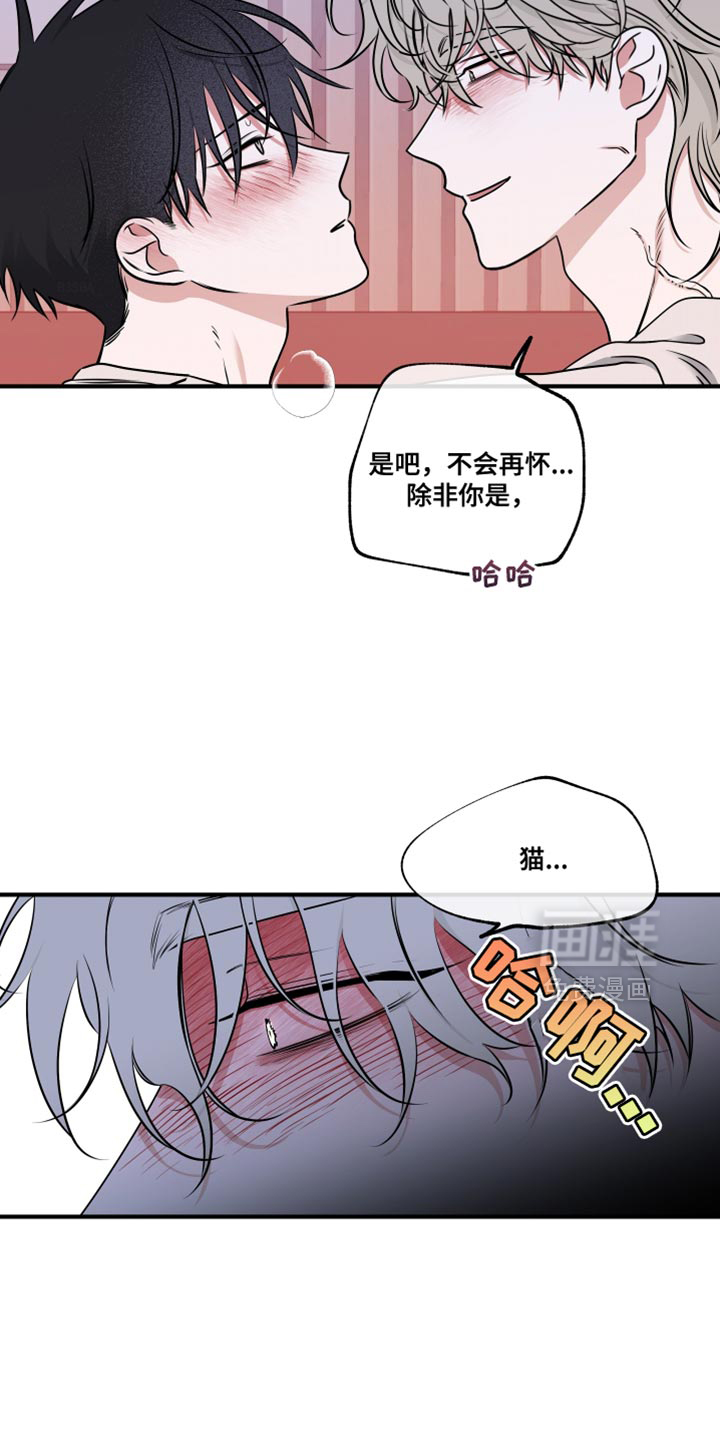 第242话12