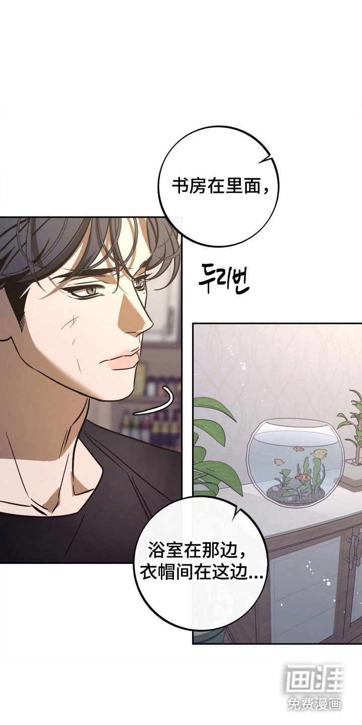 第104话17